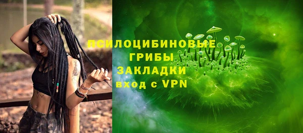 Альфа ПВП Няндома